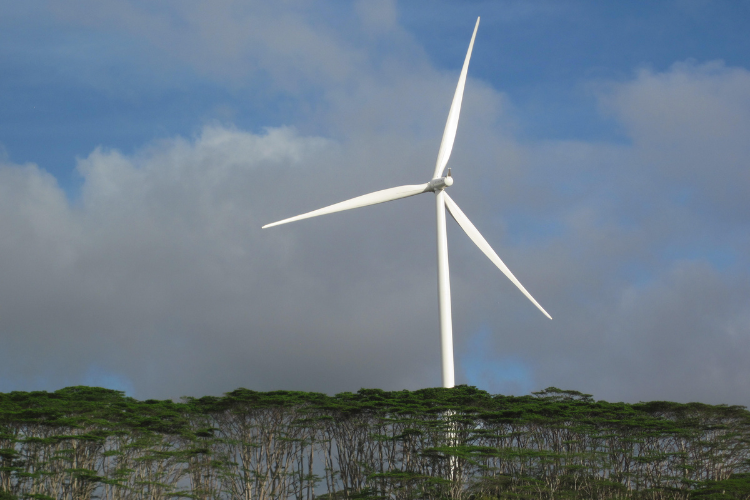 Wind Energy Image